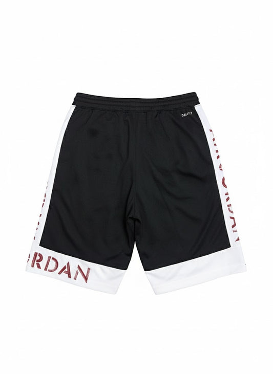 Air Jordan Dri-FIT Shorts